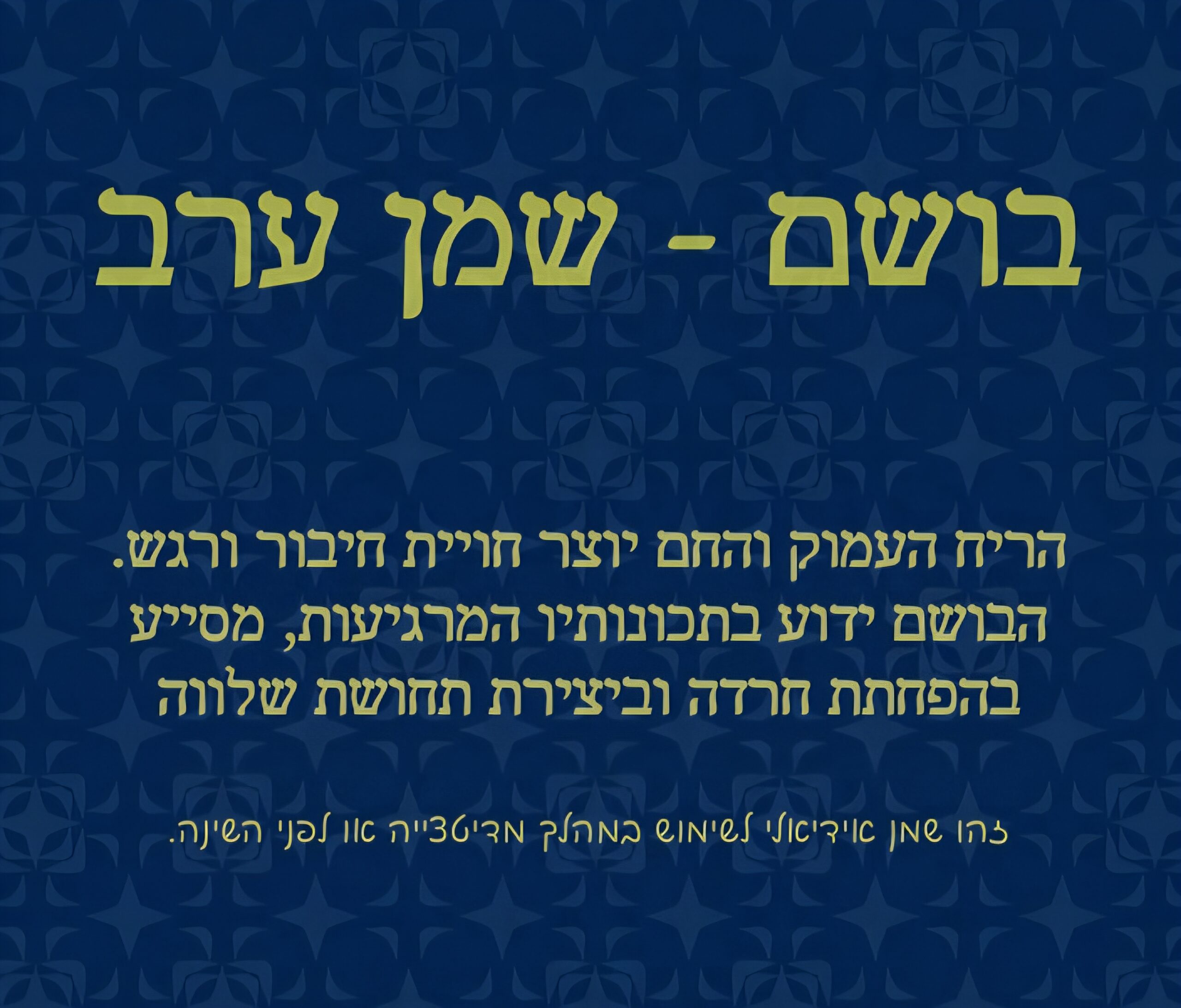 תמונה 1