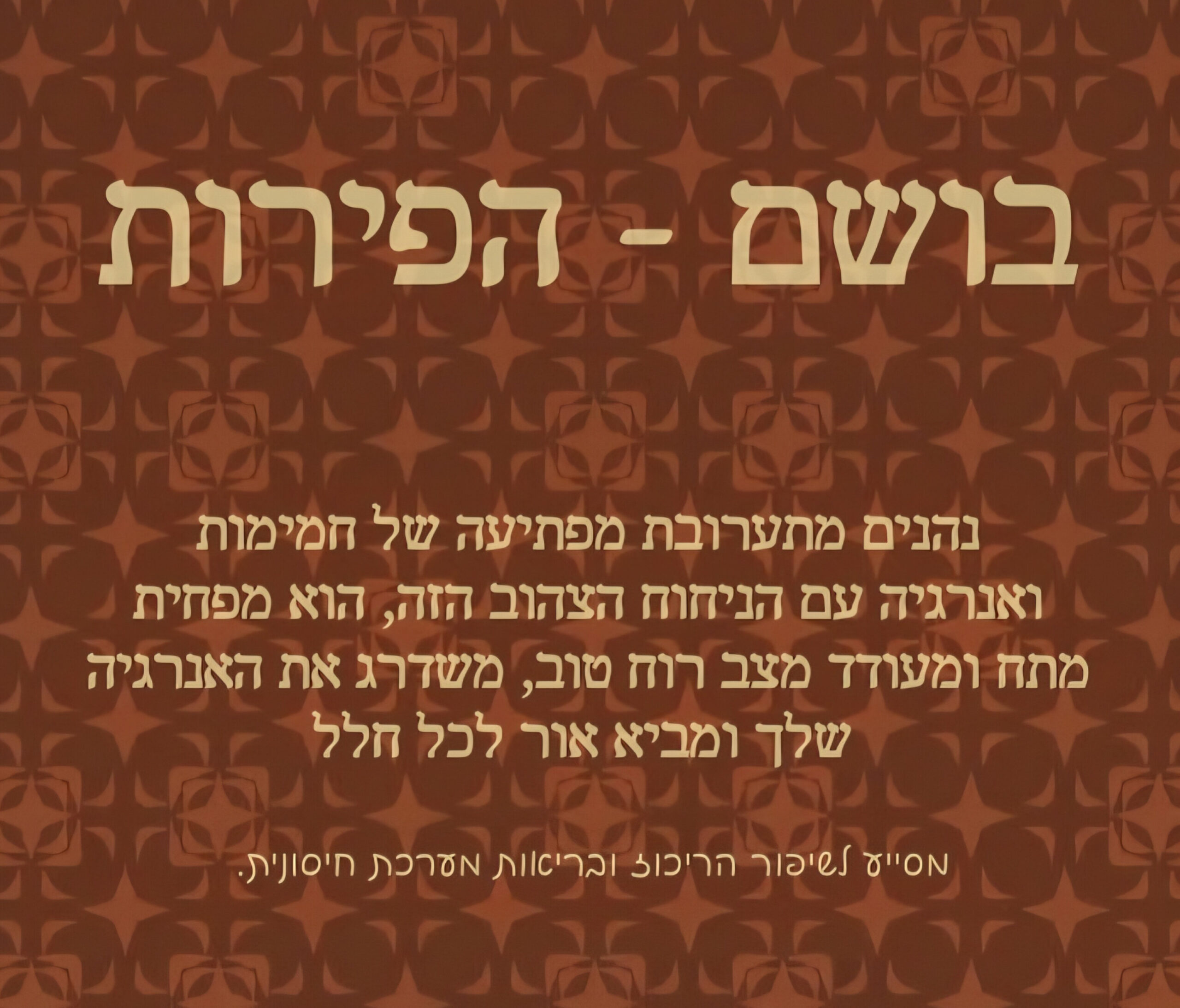 תמונה 2