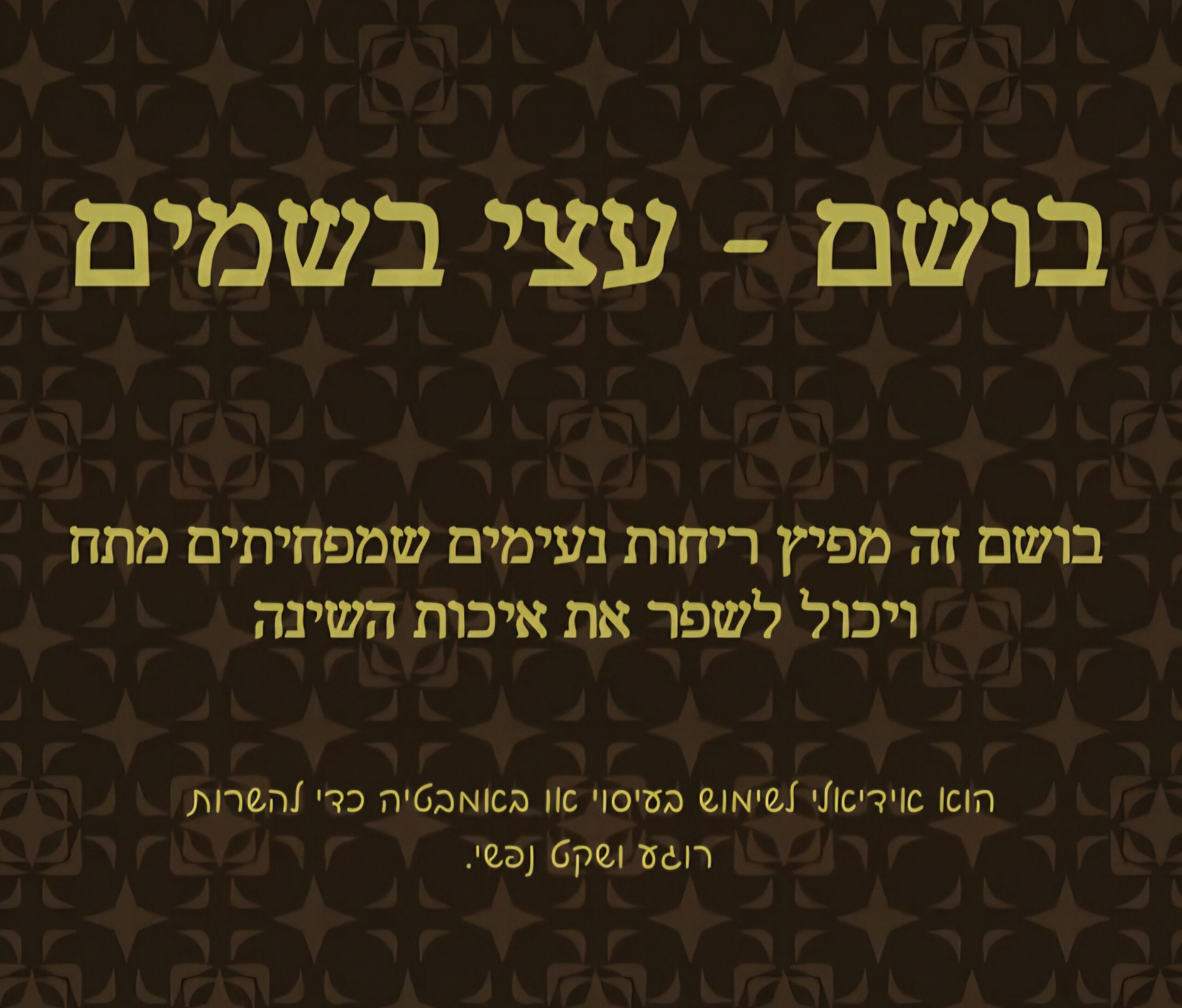 תמונה 3