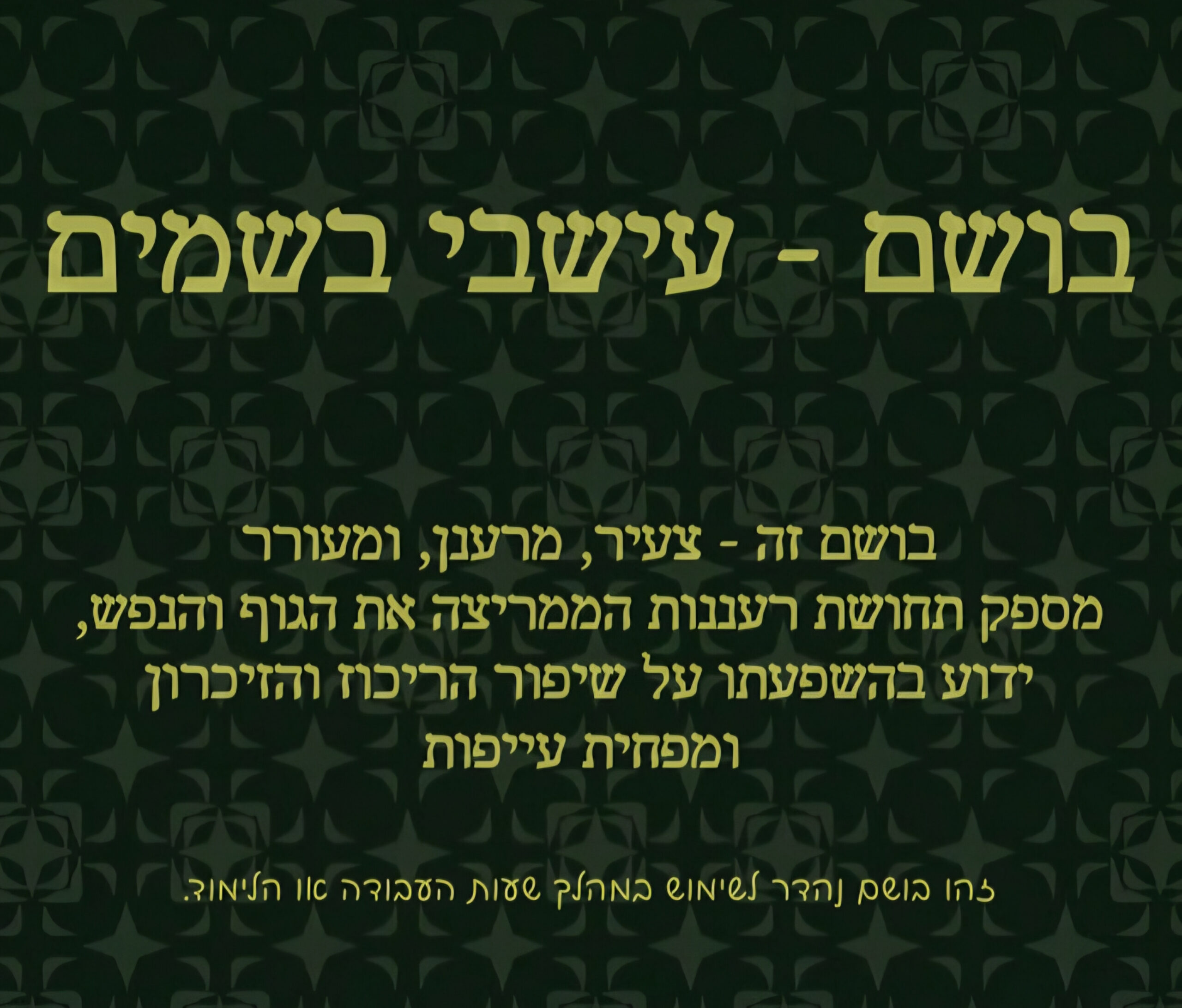 תמונה 4