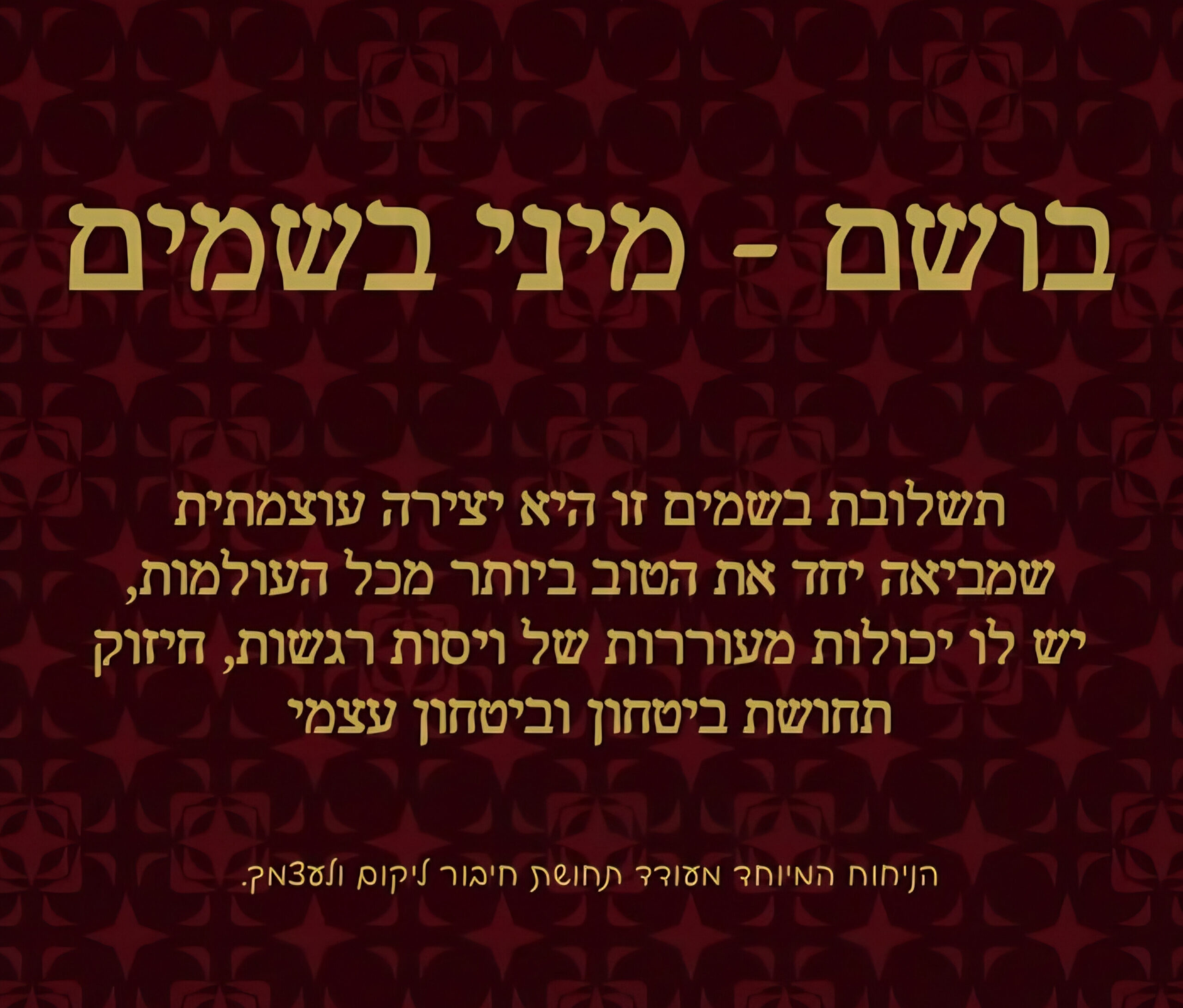 תמונה 5
